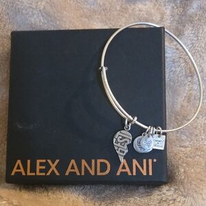Alex and Ani Silver Charm Bracelet